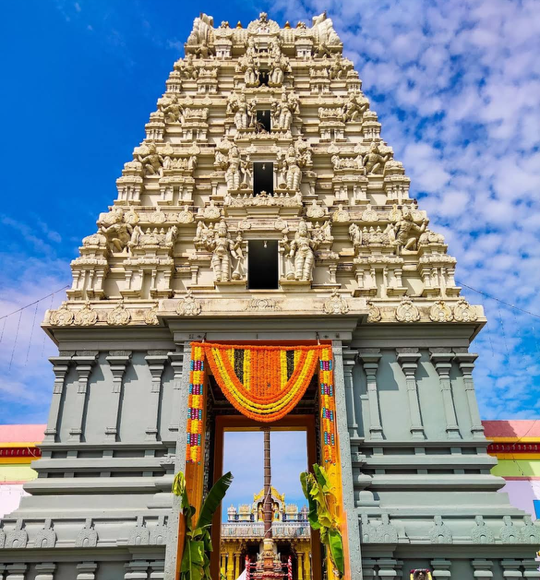 Morning midweek ride