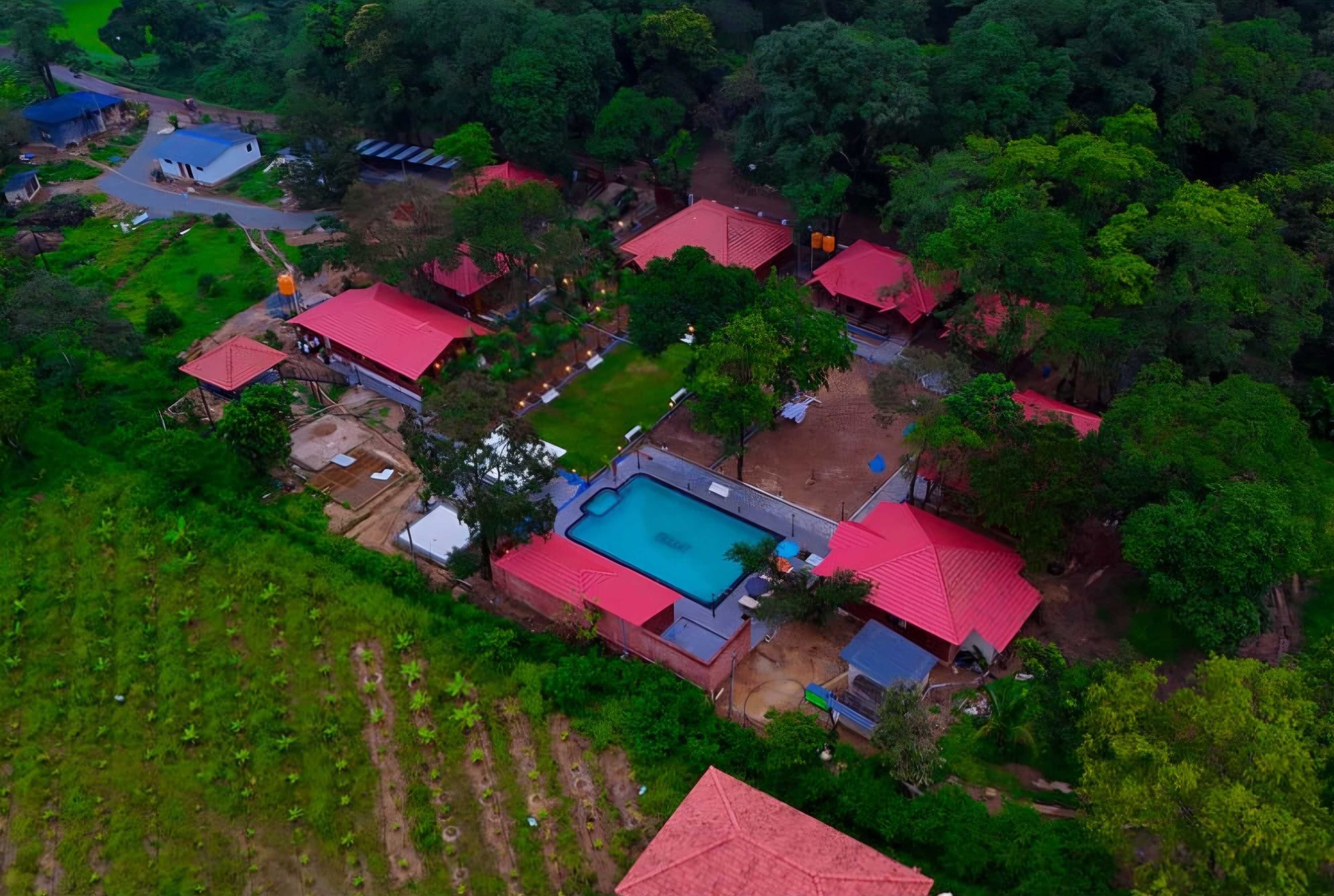 Into the the Jungle - Dandeli