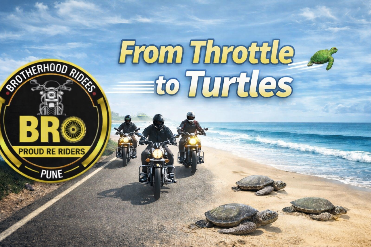 From Throttle to Turtles 🐢💨