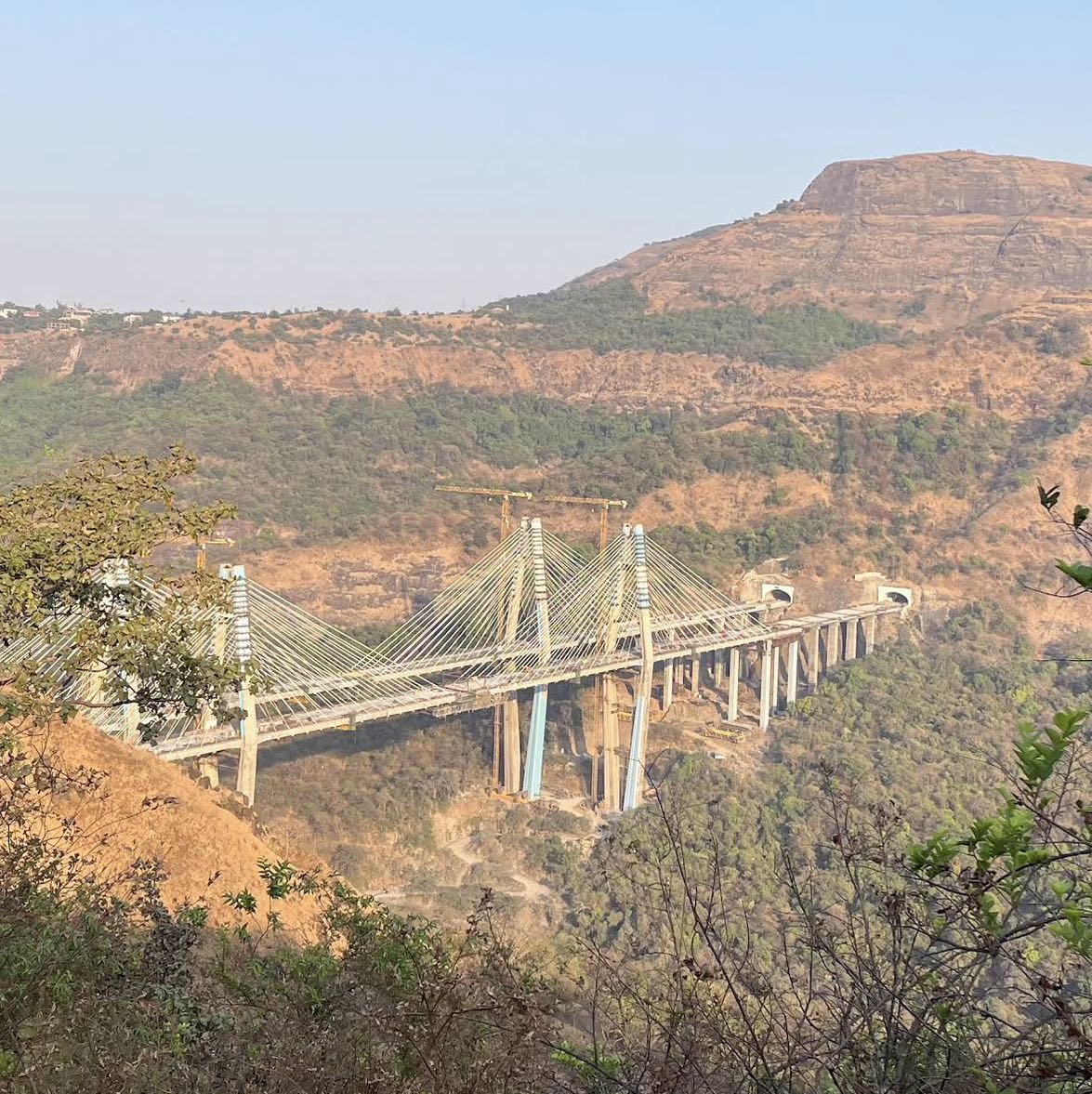 Missing Link View Point