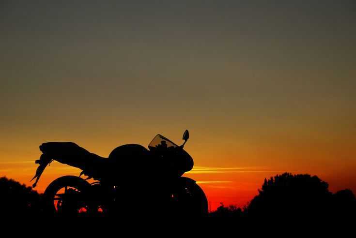 Sunset Chaser